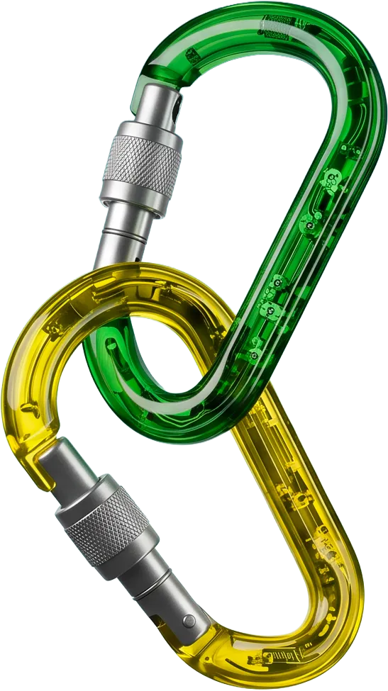 Two interlocked carabiners