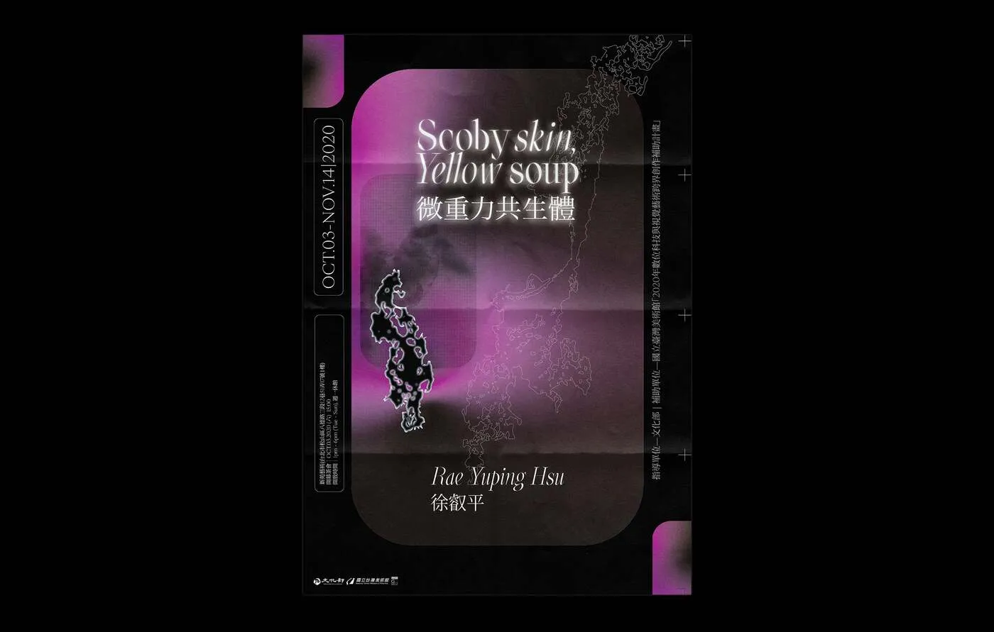 Scoby Skin, Yellow Soup